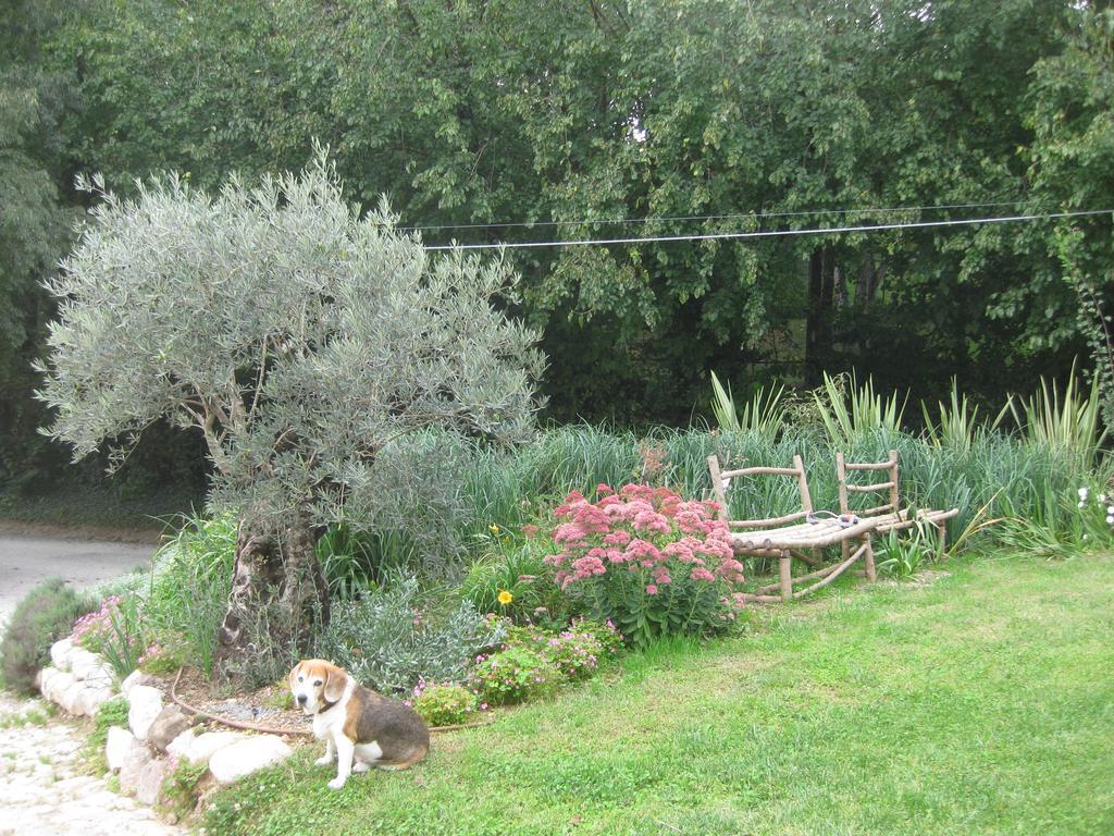 Agriturismo Campagnoletto Cavriana ภายนอก รูปภาพ