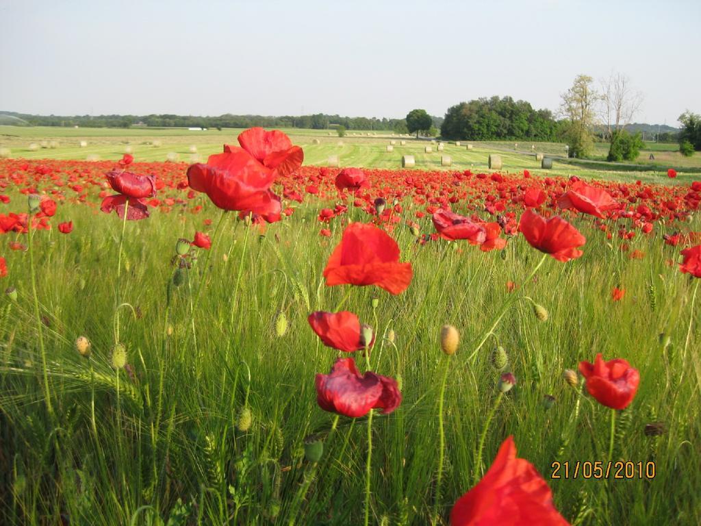 Agriturismo Campagnoletto Cavriana ภายนอก รูปภาพ