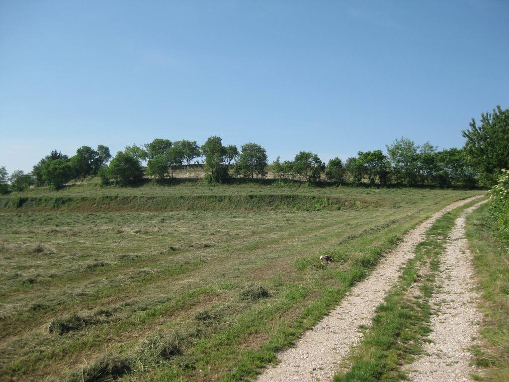 Agriturismo Campagnoletto Cavriana ห้อง รูปภาพ