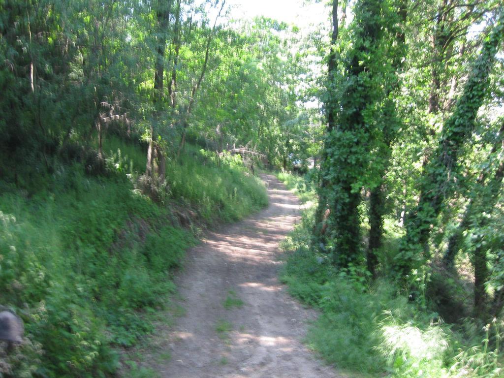 Agriturismo Campagnoletto Cavriana ห้อง รูปภาพ