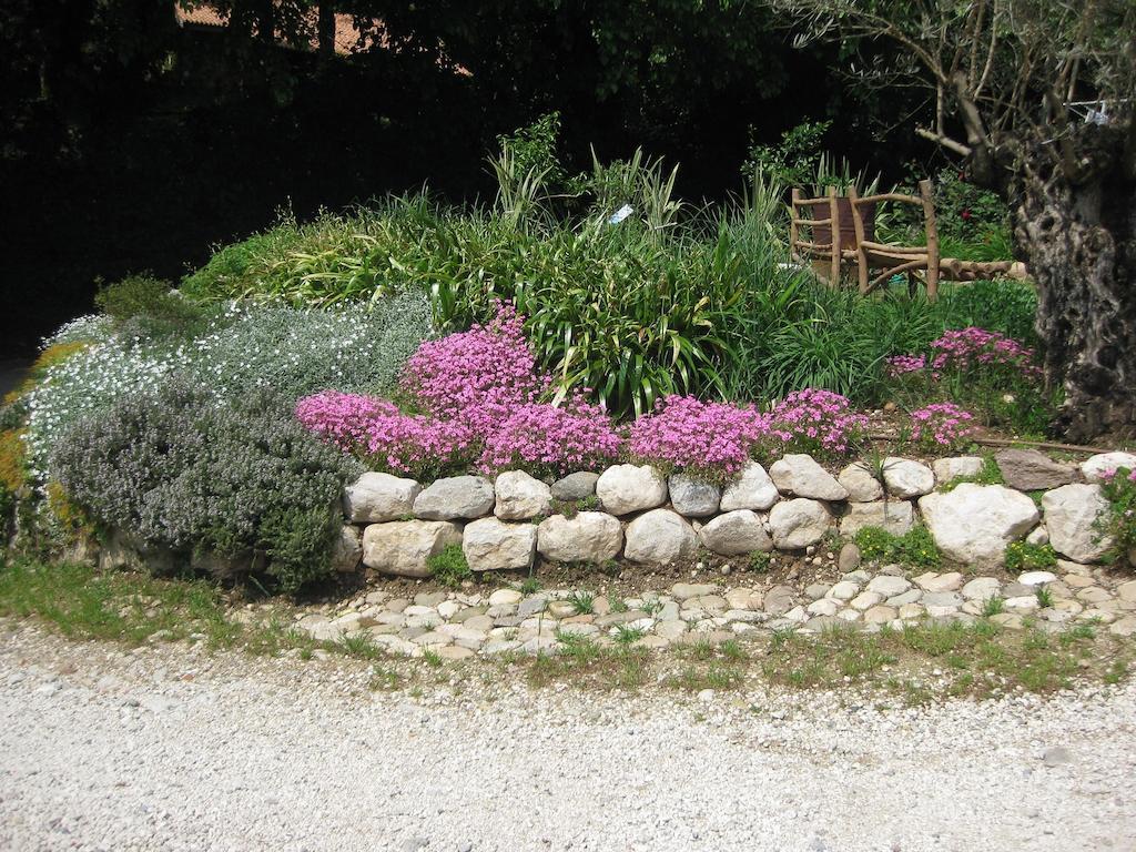 Agriturismo Campagnoletto Cavriana ภายนอก รูปภาพ