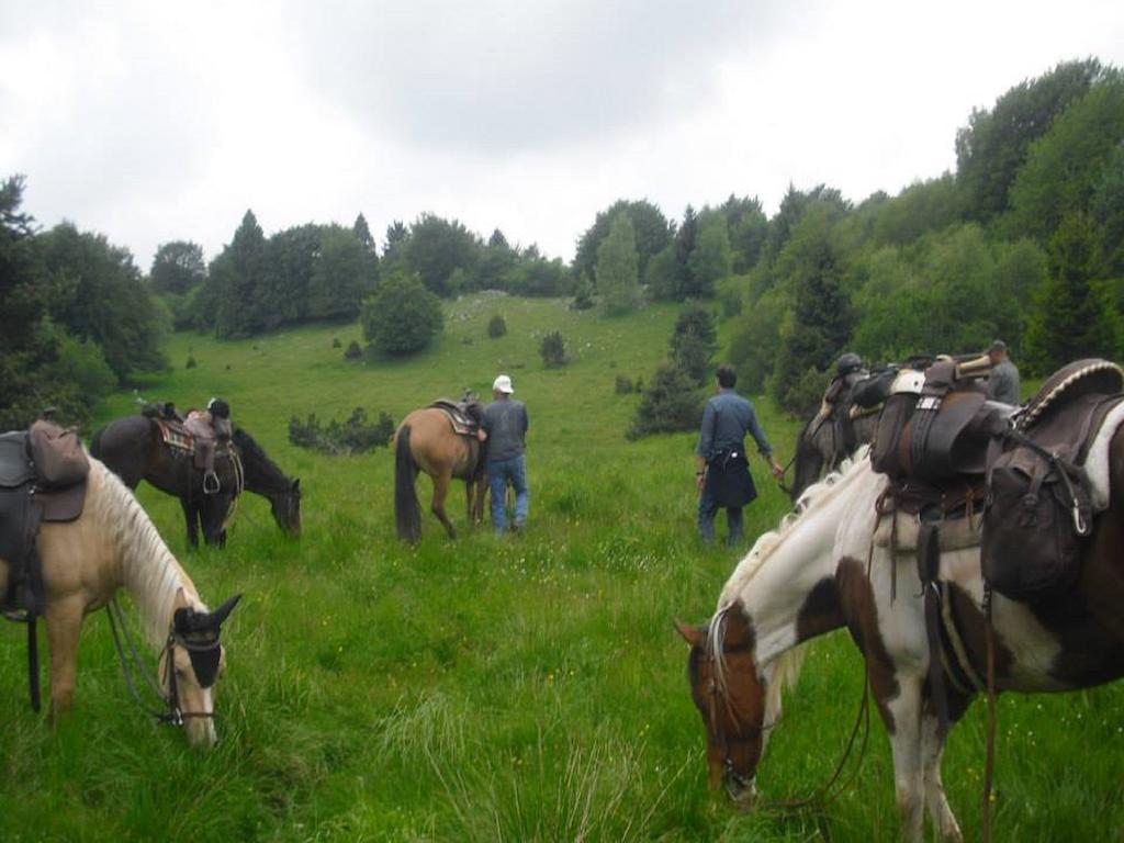 Agriturismo Campagnoletto Cavriana ภายนอก รูปภาพ