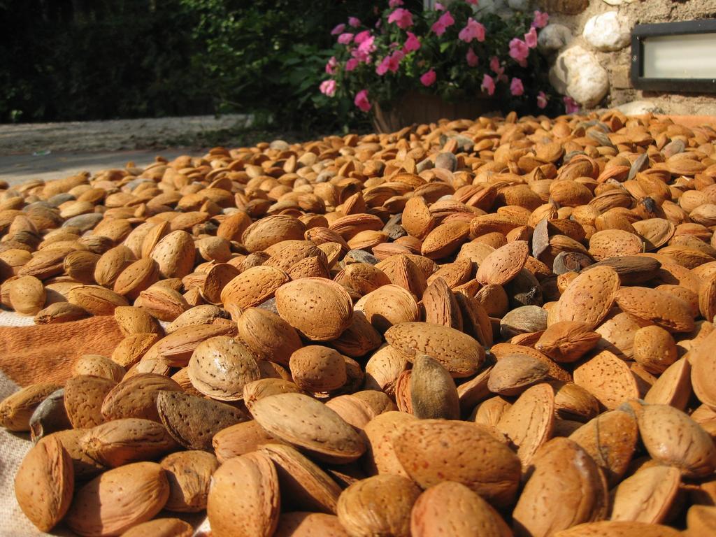 Agriturismo Campagnoletto Cavriana ภายนอก รูปภาพ