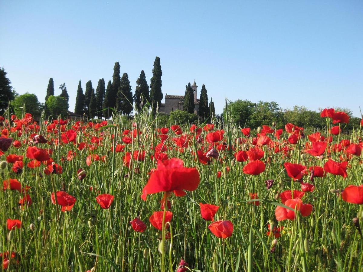 Agriturismo Campagnoletto Cavriana ภายนอก รูปภาพ