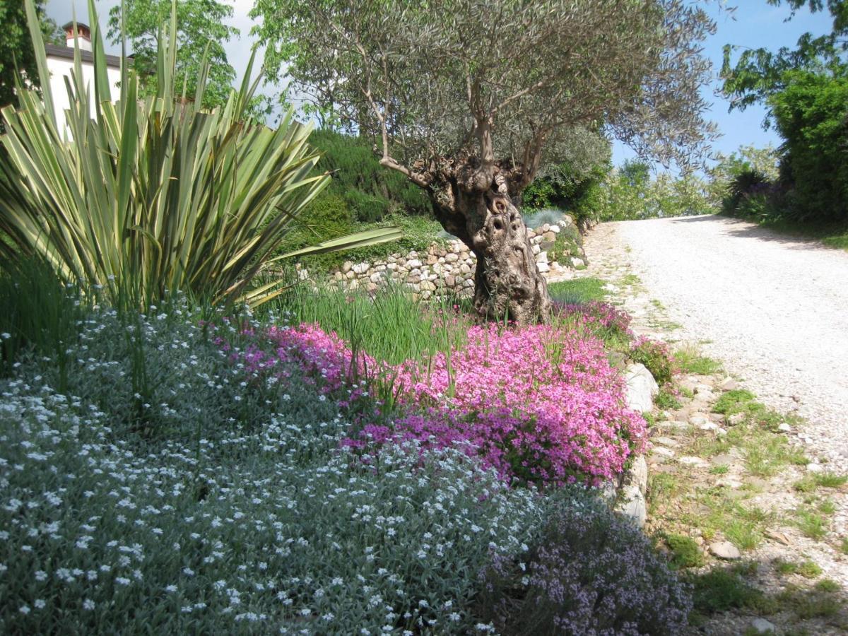 Agriturismo Campagnoletto Cavriana ภายนอก รูปภาพ
